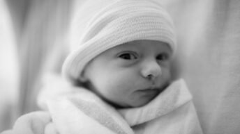 Reddit, aborto y fetichas sexuales de la masonería. Feminismo.