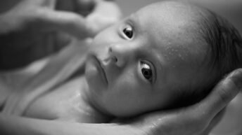 Reddit, aborto y fetichas sexuales de la masonería. Feminismo.