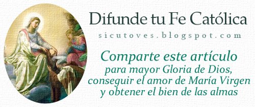 https://uncatolicoperplejo.com/la-virgen-maria-revelada-por-el-espiritu-santo-en-la-segunda-venida-de-cristo/