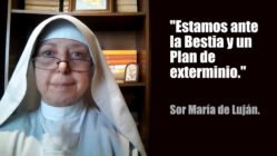 "Estamos ante la Bestia y un Plan de exterminio." - Sor María de Luján (2020, Argentina). https://uncatolicoperplejo.com/estamos-ante-la-bestia-y-un-plan-de-exterminio/