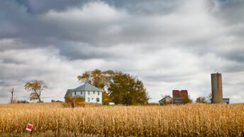 Manuel Diaz (@myn91, Flickr) Autumn Crops