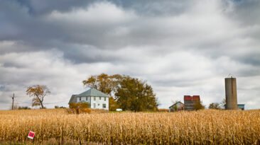 Manuel Diaz (@myn91, Flickr) Autumn Crops