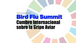 International Bird Flu Summit. Pandemia. Gripe aviar.