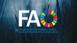 Gripe aviar. Administración Trump. Vacunas contra el virus H5N1 en humanos.