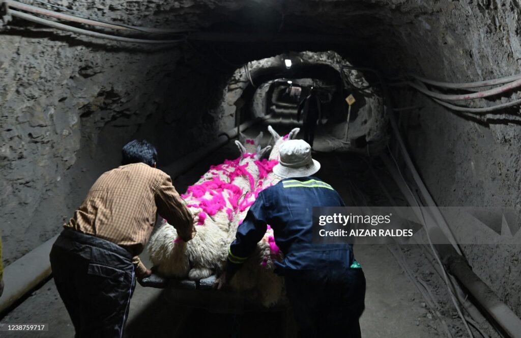 Pachamama. Wilancha. Prevost. Bergoglio. Sínodo amazónico. Bolivia. Minas.