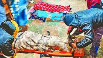 Pachamama. Prevost. Bergoglio. Sínodo amazónico.